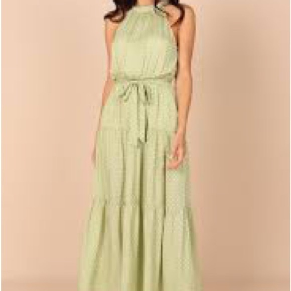 #20❤️ Brand new with tags Petal & Pup Makayla dress in green - Picture 5 of 6